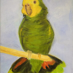 Birdie