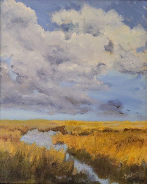 Cloudy Marsh