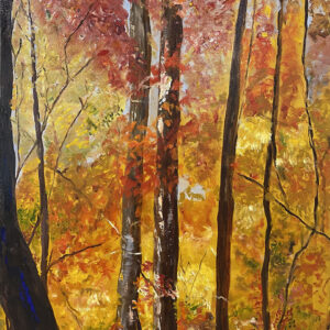 Fall on the Blue Ridge Parkway #2