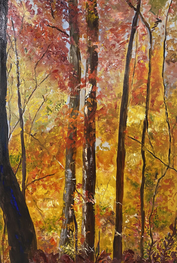 Fall on the Blue Ridge Parkway #2