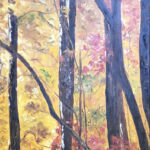Fall on the Blue Ridge Parkway #1