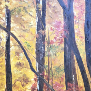 Fall on the Blue Ridge Parkway #1