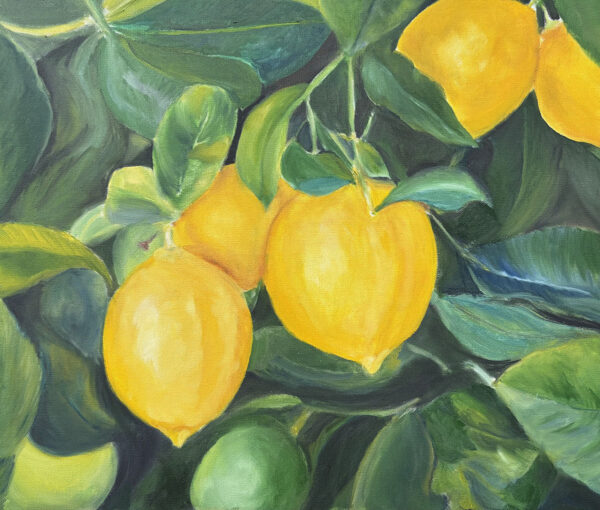 Lemon Tree