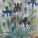 Purple Irises