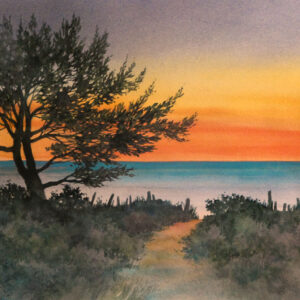 Solstice Awakening
