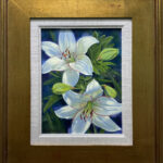 Madonna Lily
