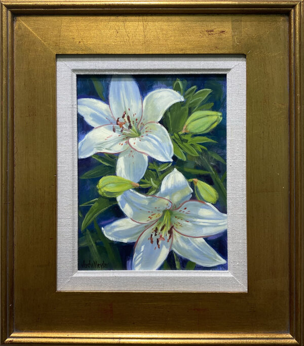Madonna Lily