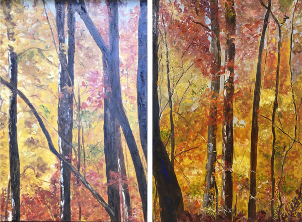 Fall on the Blue Ridge Parkway (Diptych)