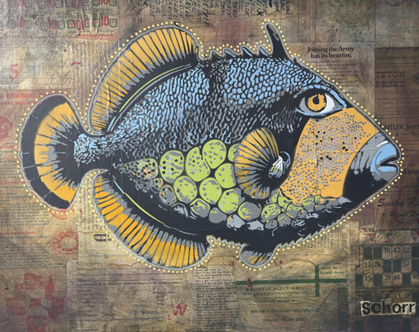 Triggerfish