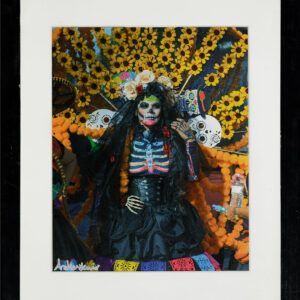 Entre Flores y Sombras