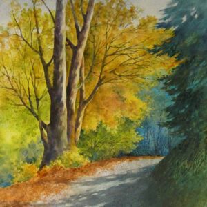 Autumn Trail