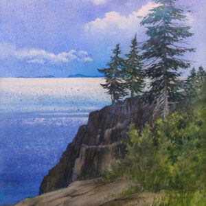 Cliffside Drama
