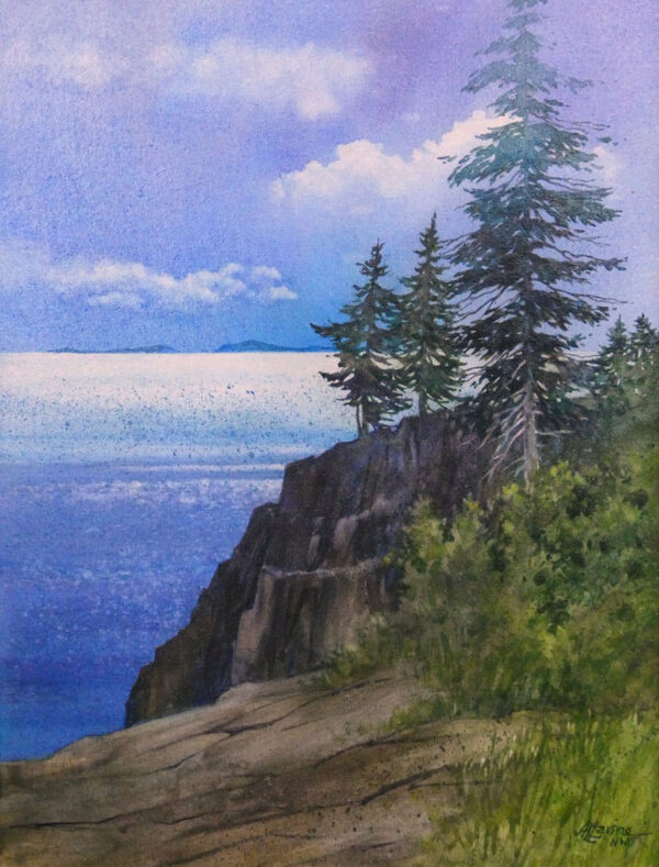 Cliffside Drama