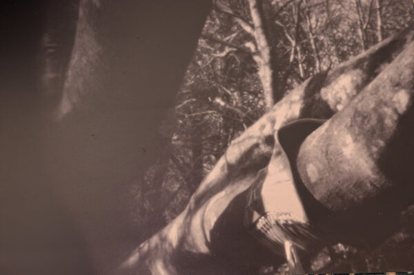 Corset Forest #2