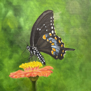 Fly Butterfly