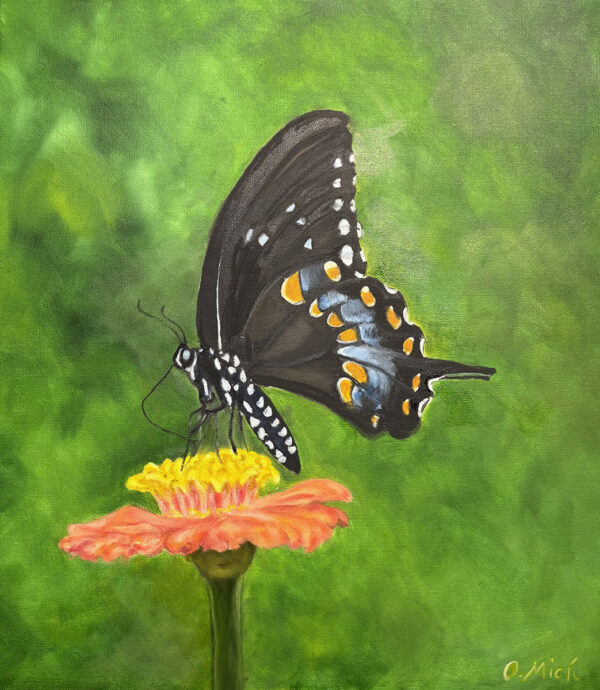 Fly Butterfly