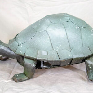 Painted Turtle