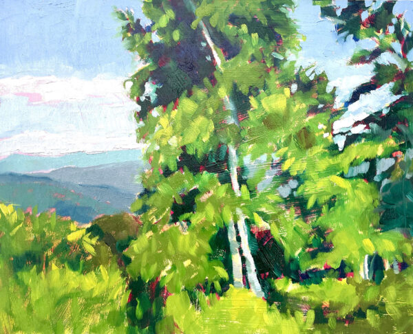 Blue Ridge Glimpse