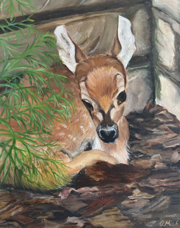 Oh Deer!