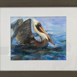 Pelican Afloat