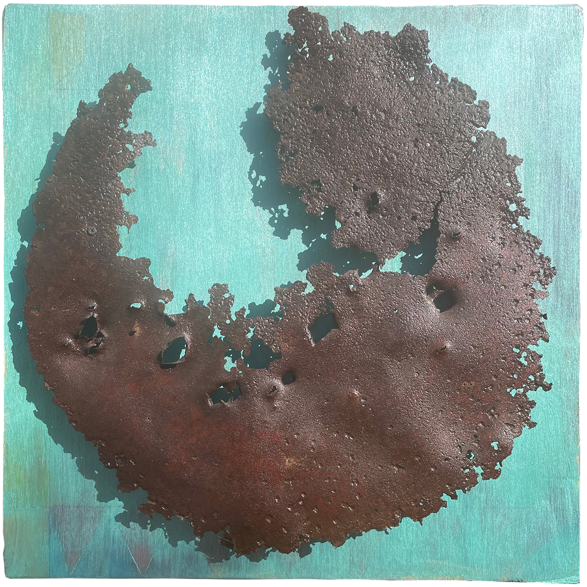 Image module