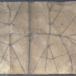 Black Walnut