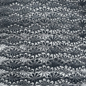 Molly's Midnight Garden