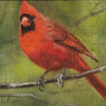 Cardinal