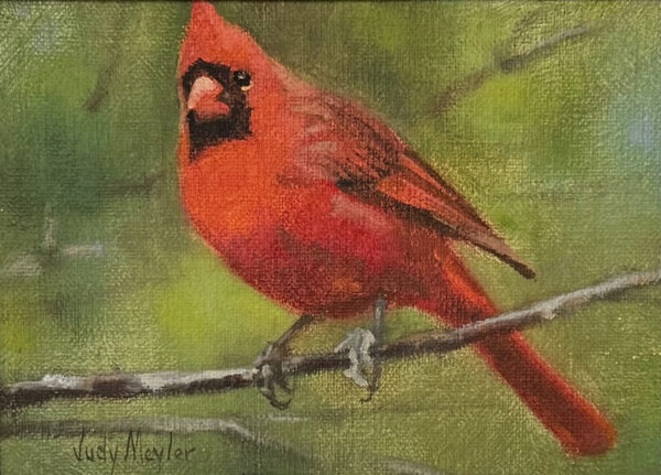 Cardinal