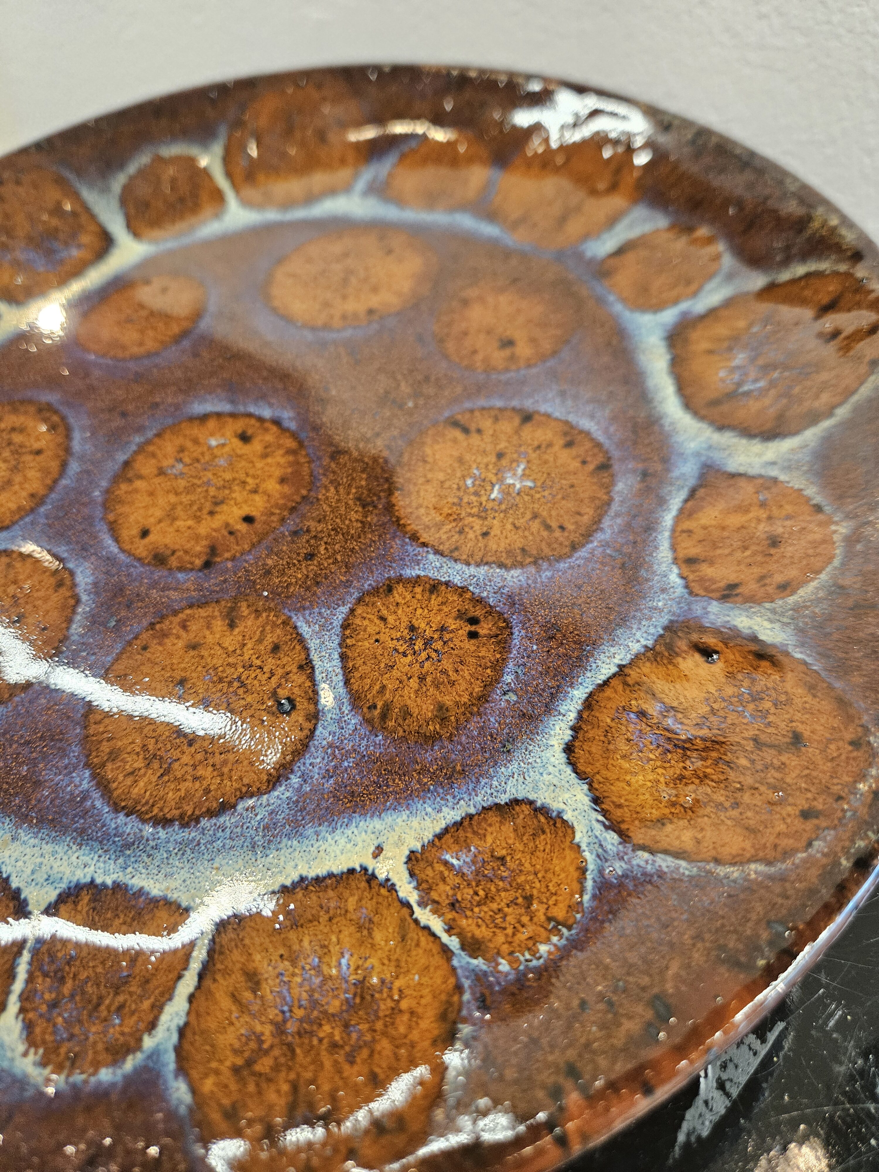 Turtle Shell Plate - Image 2